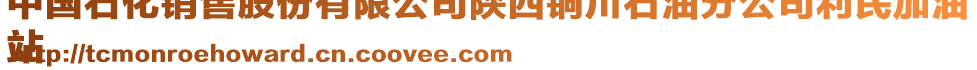 中国石化销售股份有限公司陕西铜川石油分公司利民加油
站