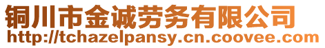 銅川市金誠勞務有限公司