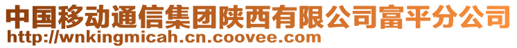 中國移動通信集團陜西有限公司富平分公司