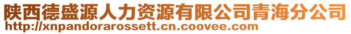 陜西德盛源人力資源有限公司青海分公司