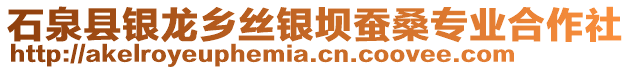 石泉縣銀龍鄉(xiāng)絲銀壩蠶桑專業(yè)合作社