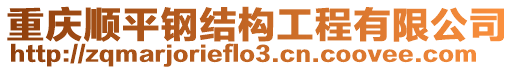 重慶順平鋼結(jié)構(gòu)工程有限公司