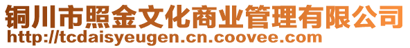 銅川市照金文化商業(yè)管理有限公司