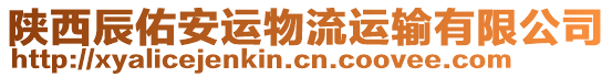 陜西辰佑安運物流運輸有限公司