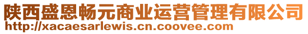 陜西盛恩暢元商業(yè)運(yùn)營管理有限公司