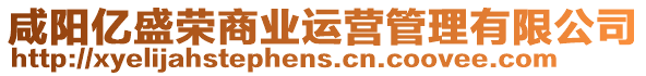 咸陽億盛榮商業(yè)運(yùn)營(yíng)管理有限公司