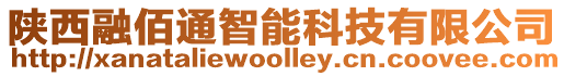 陜西融佰通智能科技有限公司