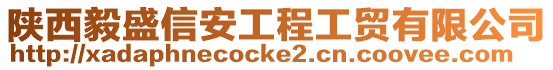 陜西毅盛信安工程工貿(mào)有限公司