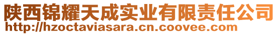 陜西錦耀天成實業有限責任公司