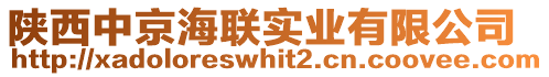 陜西中京海聯(lián)實業(yè)有限公司