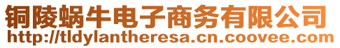 銅陵蝸牛電子商務有限公司