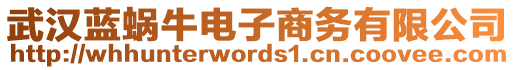 武漢藍(lán)蝸牛電子商務(wù)有限公司