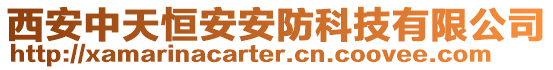 西安中天恒安安防科技有限公司