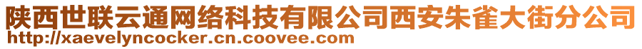 陜西世聯云通網絡科技有限公司西安朱雀大街分公司