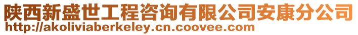 陜西新盛世工程咨詢有限公司安康分公司