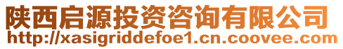 陜西啟源投資咨詢有限公司