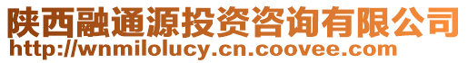 陜西融通源投資咨詢有限公司