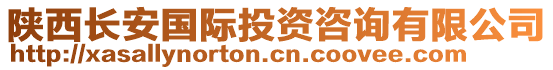 陜西長(zhǎng)安國(guó)際投資咨詢有限公司