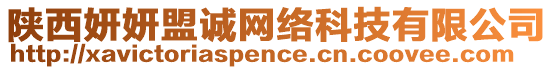 陜西妍妍盟誠(chéng)網(wǎng)絡(luò)科技有限公司