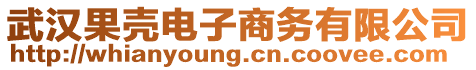 武漢果殼電子商務有限公司
