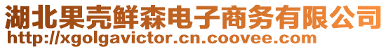 湖北果殼鮮森電子商務有限公司