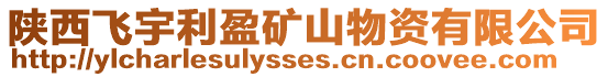 陜西飛宇利盈礦山物資有限公司