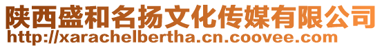 陜西盛和名揚文化傳媒有限公司