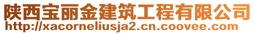 陜西寶麗金建筑工程有限公司