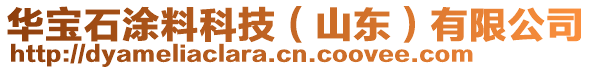 華寶石涂料科技（山東）有限公司