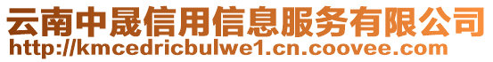 云南中晟信用信息服務(wù)有限公司