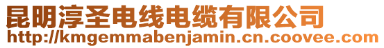 昆明淳圣電線電纜有限公司