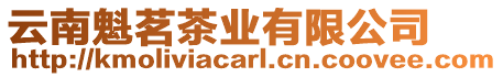 云南魁茗茶業(yè)有限公司