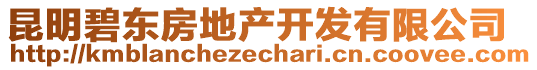 昆明碧東房地產(chǎn)開發(fā)有限公司