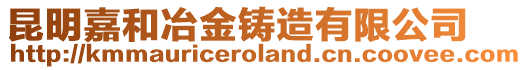 昆明嘉和冶金鑄造有限公司