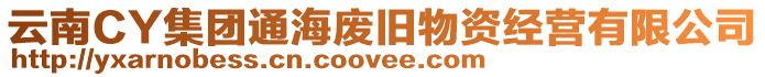 云南CY集團通海廢舊物資經(jīng)營有限公司