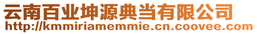 云南百業(yè)坤源典當有限公司