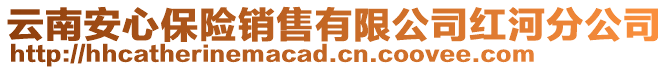 云南安心保險銷售有限公司紅河分公司