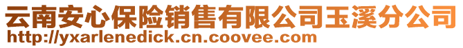 云南安心保險銷售有限公司玉溪分公司