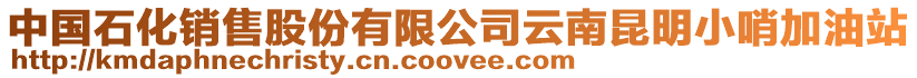 中國石化銷售股份有限公司云南昆明小哨加油站