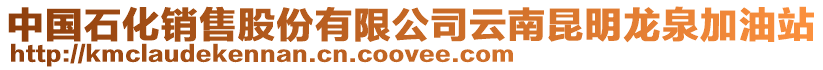 中國(guó)石化銷(xiāo)售股份有限公司云南昆明龍泉加油站