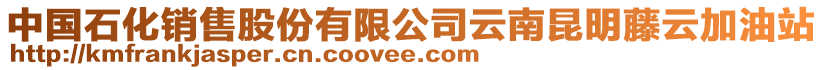 中國石化銷售股份有限公司云南昆明藤云加油站