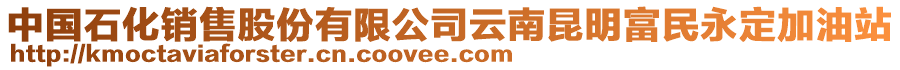 中國(guó)石化銷售股份有限公司云南昆明富民永定加油站