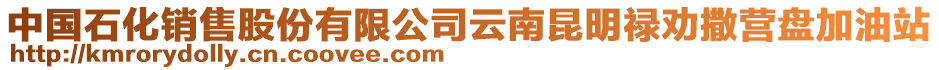 中國(guó)石化銷(xiāo)售股份有限公司云南昆明祿勸撒營(yíng)盤(pán)加油站