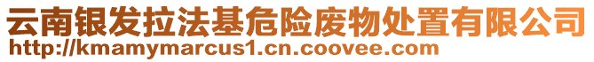 云南銀發(fā)拉法基危險廢物處置有限公司