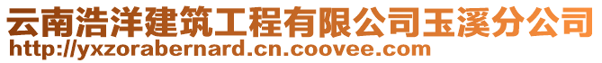 云南浩洋建筑工程有限公司玉溪分公司