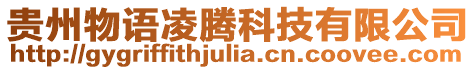 貴州物語凌騰科技有限公司