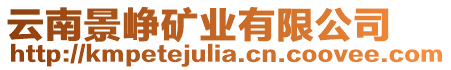 云南景崢礦業(yè)有限公司