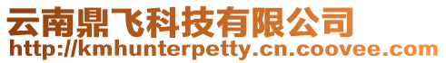云南鼎飛科技有限公司