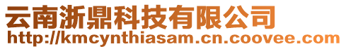 云南浙鼎科技有限公司