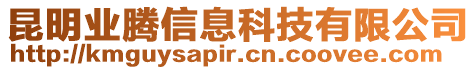 昆明業(yè)騰信息科技有限公司